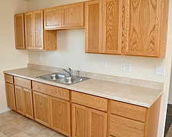 Habitat for Humanity