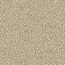 Pumice