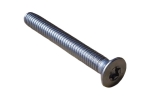 Dock Torx Screws 