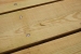Heavy-Duty Picnic Table, Treated Lumber (Showroom Sample) - FPCNCTBLHDTL8-SAMPLE