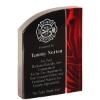 7" Wave Red Velvet Acrylic Award 