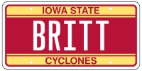License Plate Wall Hanger, Large 