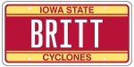 License Plate Wall Hanger, Large