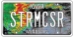 License Plate Wall Hanger, Large - FCUSTOMLG