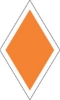 DNR332: TRAIL DIAMOND (ORANGE BLAZER) 5X7 