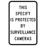 IPIH601: SURVEILLANCE CAMERAS 12X18