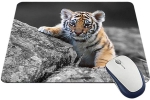 Mouse Pads