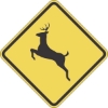 W11-3: DEER CROSSING SYMBOL 48X48 