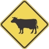 W11-4: CATTLE CROSSING SYMBOL 48X48 